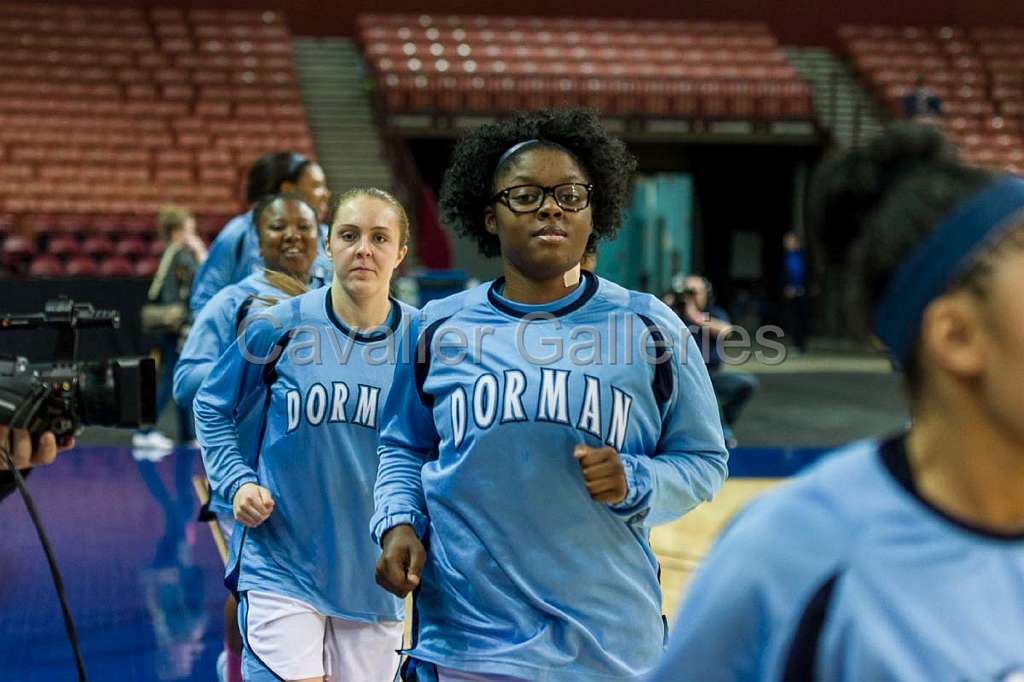 Dorman v Greenwood 24.jpg